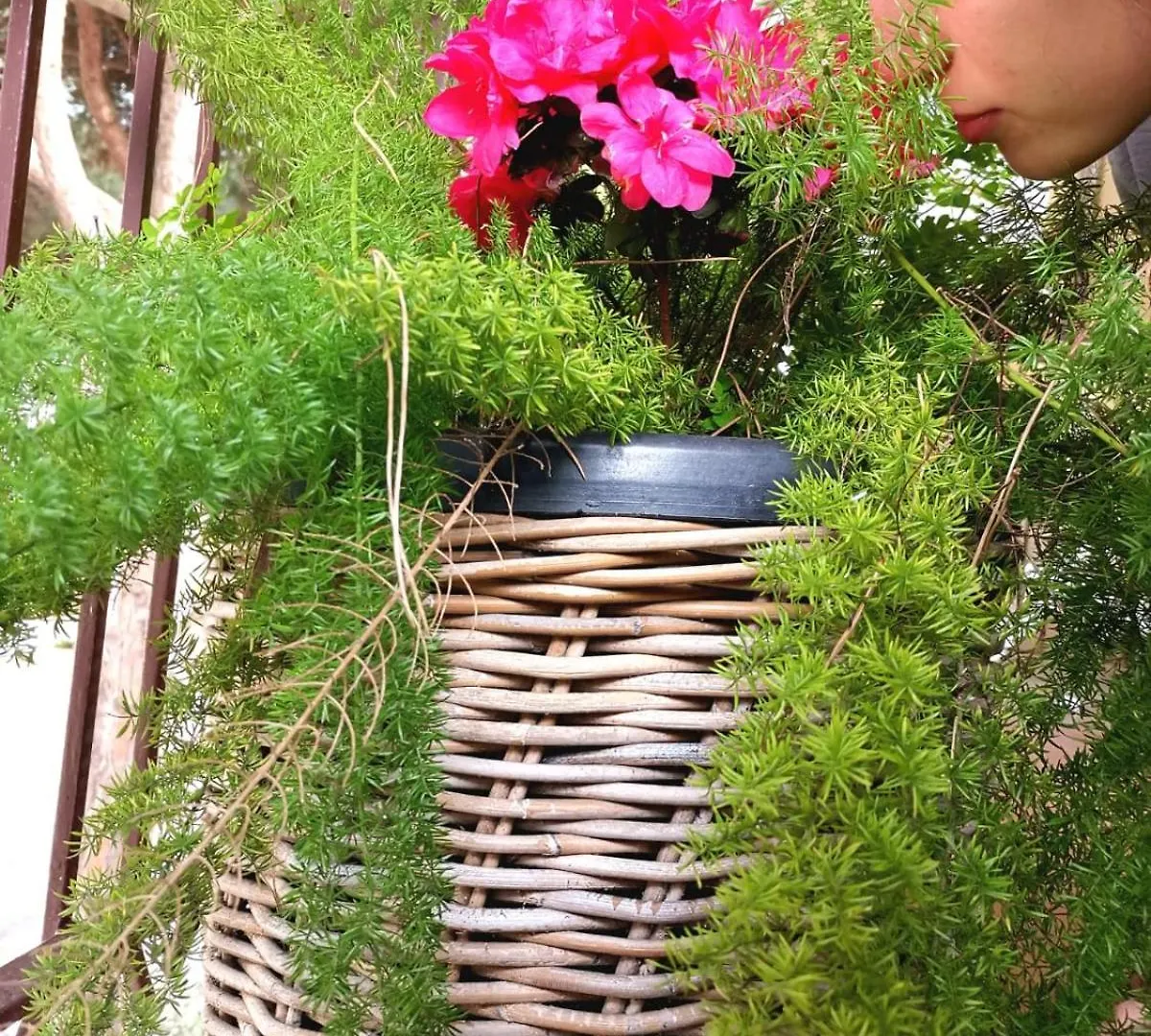 Casa Dorita - Free Breakfast Corner 8-12 Hotel Cervia