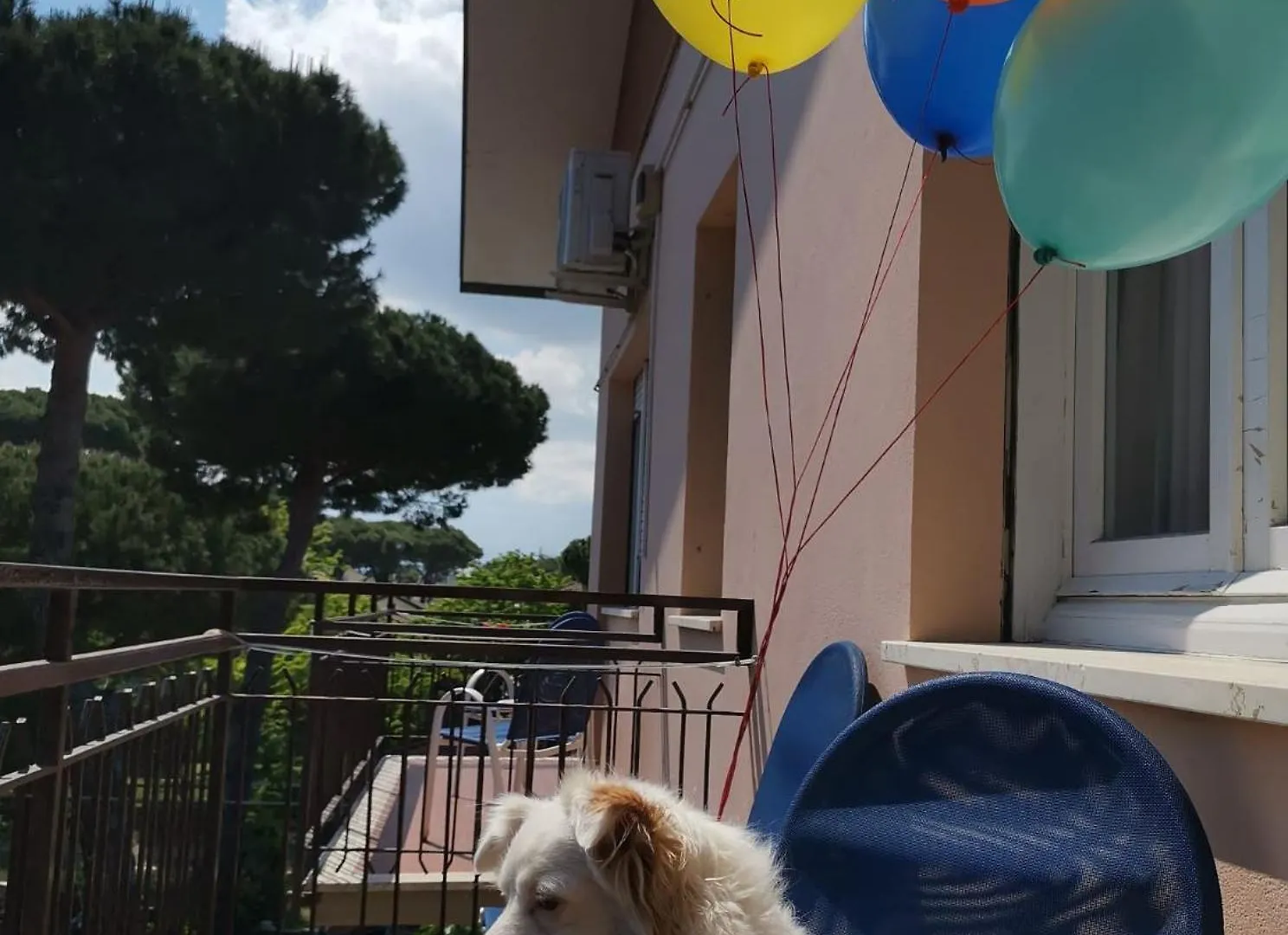 Casa Dorita - Free Breakfast Corner 8-12 Hotel Cervia