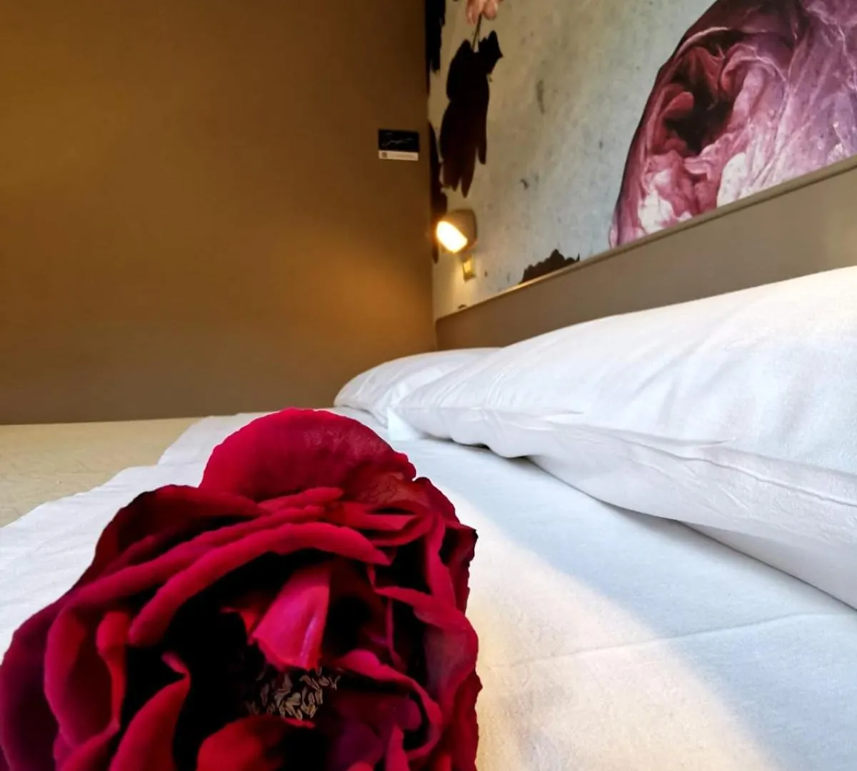 Casa Dorita - Free Breakfast Corner 8-12 Hotel Cervia