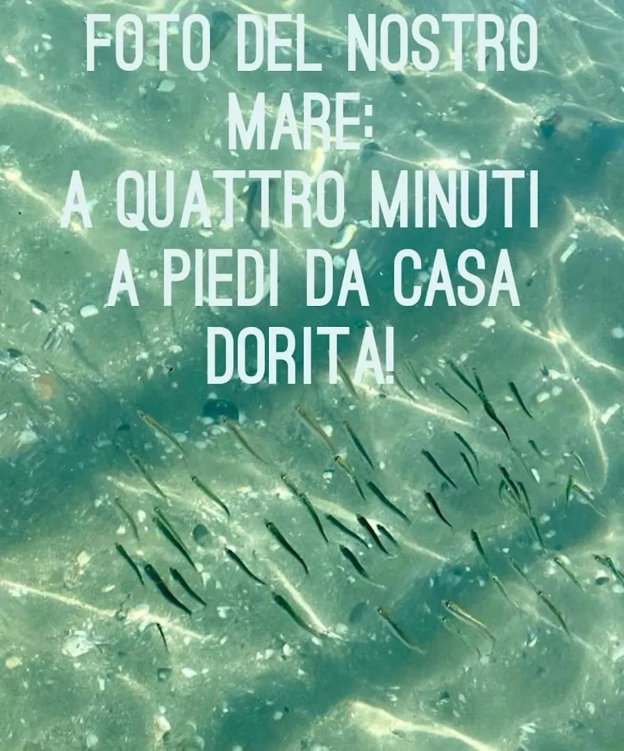 **  Casa Dorita - Free Breakfast Corner 8-12 Hotel Cervia Italy