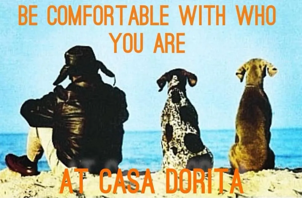 ホテル Casa Dorita - Free Breakfast Corner 8-12 チェルヴィア